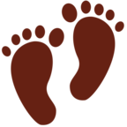 Footprints