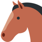 Horse Face