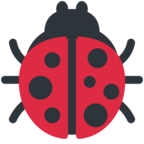 Lady Beetle
