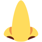 Nose