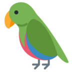 Parrot