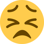 Persevering Face
