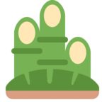 Pine Decoration