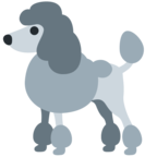 Poodle