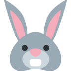 Rabbit Face