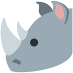 Rhinoceros