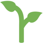Seedling