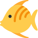 Tropical Fish