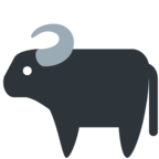 Water Buffalo