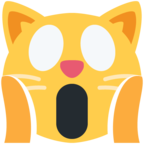 Weary Cat