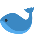 Whale
