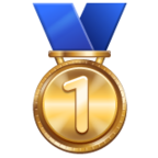 1st Place Medal