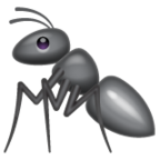 Ant