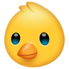 Baby Chick