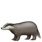 Badger