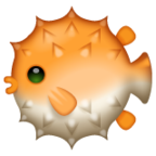 Blowfish