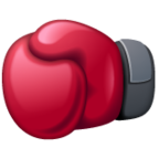 Boxing Glove