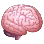 Brain
