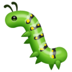 Bug