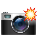 Camera with Flash
