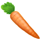 Carrot