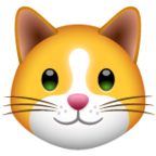 Cat Face