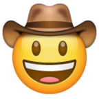 Cowboy Hat Face