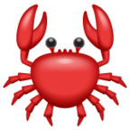 Crab