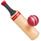 Cricket Game