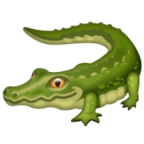 Crocodile