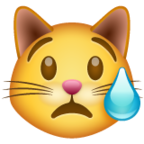 Crying Cat