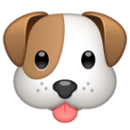 Dog Face