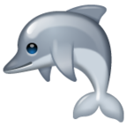 Dolphin