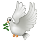Dove
