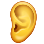 Ear
