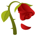 Display emoji by the platform JoyPixels