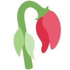 Display emoji by the platform Twitter